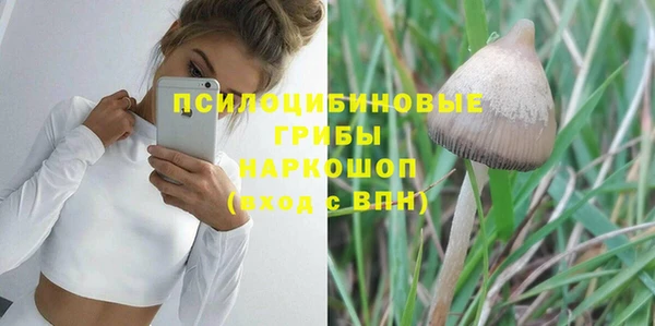 а пвп мука Алзамай