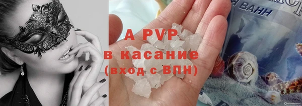 СК Алексин
