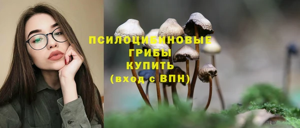 соль курить ск Алексеевка