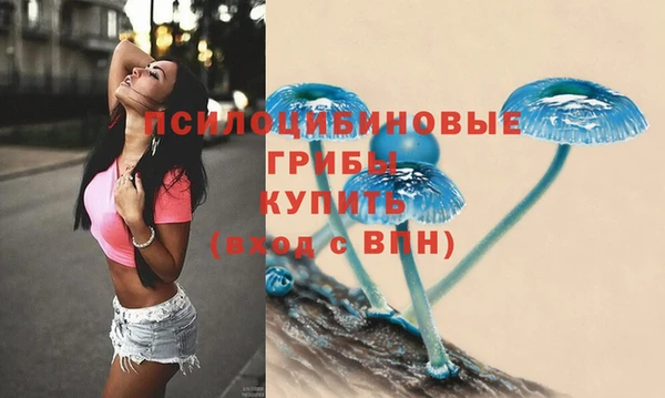 а пвп мука Алзамай