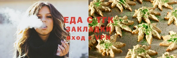 СК Алексин